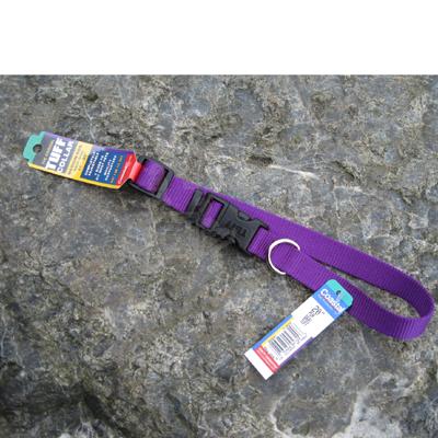 Nylon Dog Collar Adjustable 3/4-inch Purple Nylon Dog Collar Adjustable 3/4-inch Purple