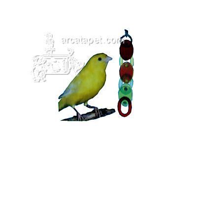 Acrylic Bird Climber Fun Chain Toy Acrylic Bird Climber Fun Chain Toy