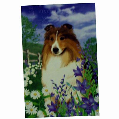 GR8 Dogs Shetland Sheepdog House Flag