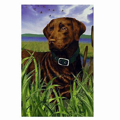 GR8 Dogs Chocolate Labrador Garden Flag