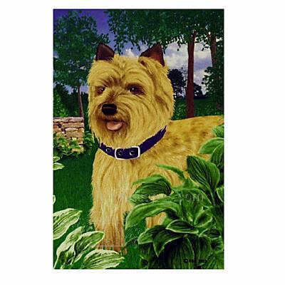GR8 Dogs Cairn Terrier Garden Flag