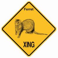Ferret Signs