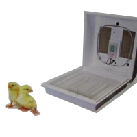 Poultry Incubation/Brooding