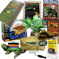 Reptile Miscellaneous