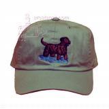 Cap 100% Cotton with Embroidered Chesapeake Retriever