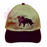 Cap 100% Cotton with Embroidered Flat Coated Retriever