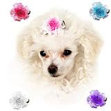 Assorted Colored Flower Clip each