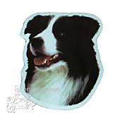 Magnet Border Collie Small