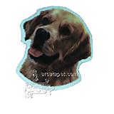 Vinyl Dog Magnet with Golden Retriever Small