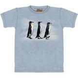 Mountain Penguin Abby Road Medium