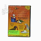 DVD#4 teach your Parrots Advanced Parrot Tricks
