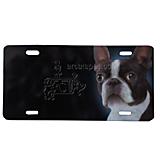 License Plate Boston Terrier
