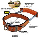 Quick Control Collar Med Orng