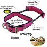 Quick Control Collar XL Pink