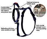 Quick Control� Harness + Built-in leash Large Black