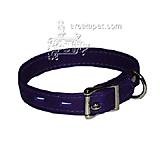 Collar DeerTan Leather Purple Md 12-16