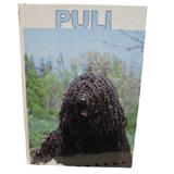 Puli