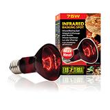Exo Terra Heat Glo Infrared Terrarium Bulb 75 Watt