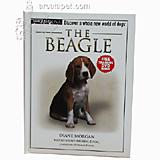 The Beagle (Terra Nova)