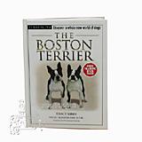 The Boston Terrier (Terra Nova)