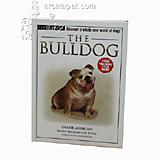 The Bulldog (Terra Nova)