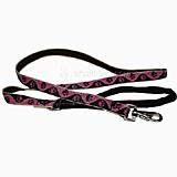 Lupine Dog Leash 6-foot x 3/4-inch Tickled Pink