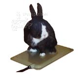 Lectro Small Animal Heated Pad