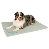 Cool Bed III  Small 19x24