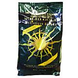 Solid Gold Holistique 4 pound