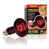 Exo Terra Infrared Basking Spot Terrarium Bulb 100 Watt