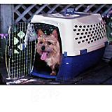 Doskocil Kennel Cab Fashion 26x18x16 Pet Carrier