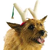 Zanies Reindeer Antlers Large