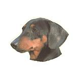 Double Sided Dog Decal Dachshund