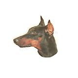 Double Sided Dog Decal Doberman