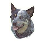 Double Sided Dog Decal Australian Cattle Dog