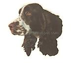 Double Sided Dog Decal English Springer Spaniel