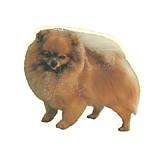 Double Sided Dog Decal Pomeranian