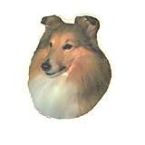 Double Sided Dog Decal Shetland Sheepdog
