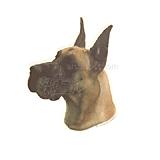 Double Sided Dog Decal Great Dane