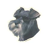 Double Sided Dog Decal Schnauzer