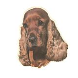Double Sided Dog Decal Cocker Spaniel