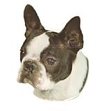 Double Sided Dog Decal Boston Terrier