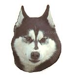 Double Sided Dog Decal Alaskan Malamute
