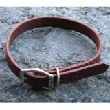 Circle T Latigo Single Layer Leather Collar 20 in