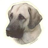 Double Sided Dog Decal Anatolian Shepherd