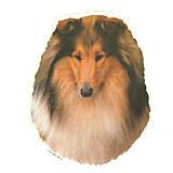 Double Sided Dog Decal Collie