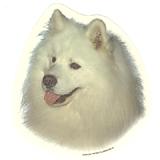 Double Sided Dog Decal Samoyed