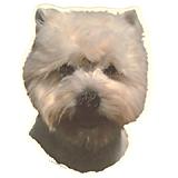 Double Sided Dog Decal West Highland White Terrier