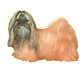 Double Sided Dog Decal Shih Tzu