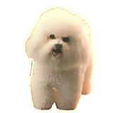 Double Sided Dog Decal Bichon Frise
